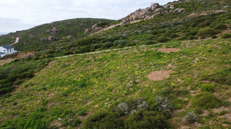 0 Bedroom Property for Sale in Steenbergs Cove Western Cape